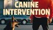 Canine Intervention 5. Bölüm