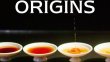 Flavorful Origins 6. Bölüm